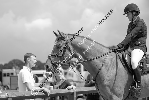 Newmarket Gallops