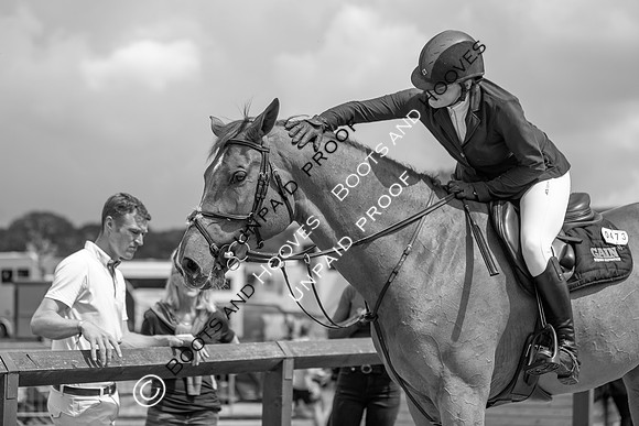 Newmarket Gallops