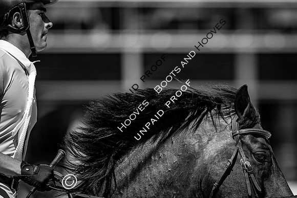 FEI Junior European Championship Young Riders, Juniors & Childre