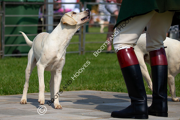 Festival of Hunting