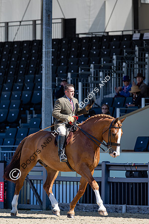 Royal Windsor Horse Show