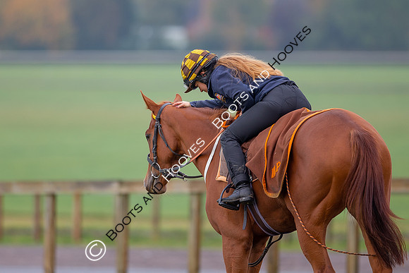 Newmarket