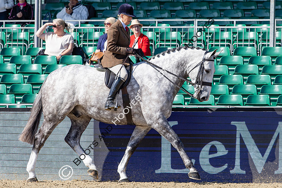 Royal Windsor Horse Show