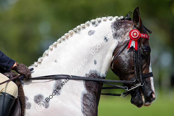 The Prenetics Royal International Horse Show