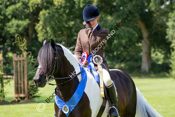 The Prenetics Royal International Horse Show