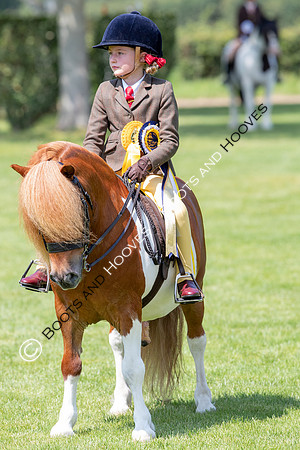 The Prenetics Royal International Horse Show