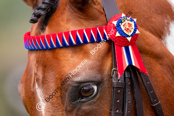 The Prenetics Royal International Horse Show