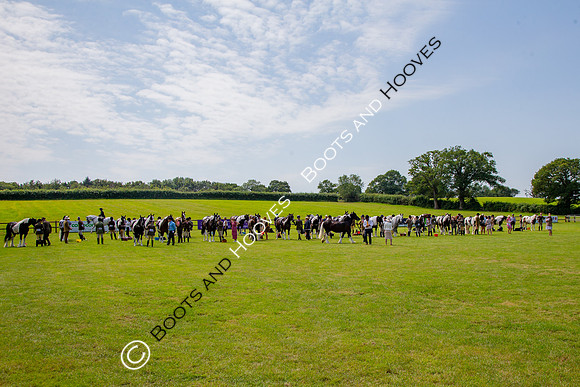 The Prenetics Royal International Horse Show