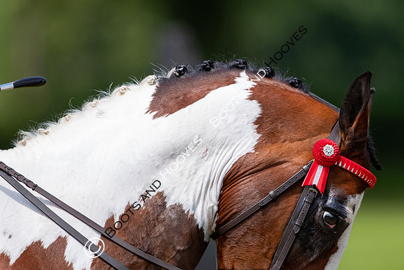 The Prenetics Royal International Horse Show