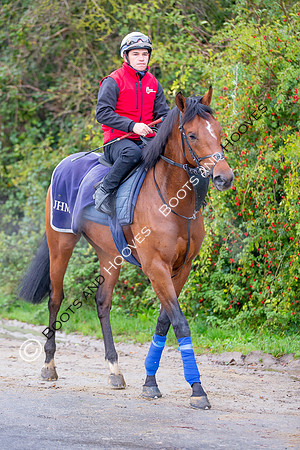 Newmarket