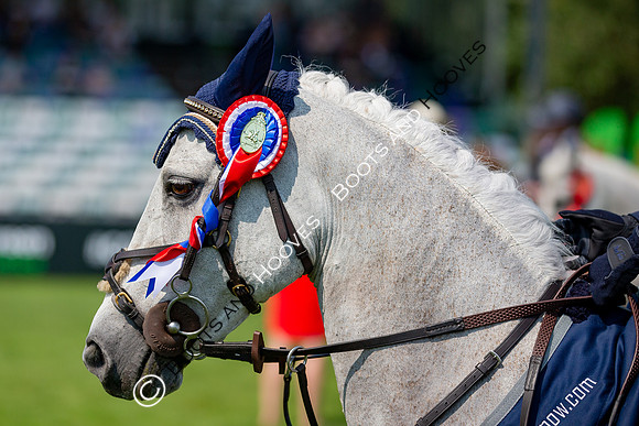 The Prenetics Royal International Horse Show
