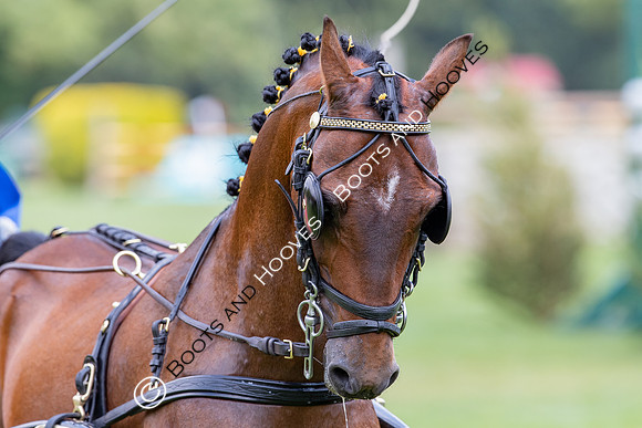 The Prenetics Royal International Horse Show
