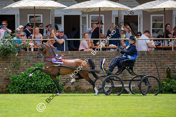 The Prenetics Royal International Horse Show