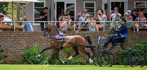 The Prenetics Royal International Horse Show