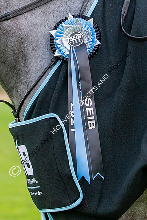 The Prenetics Royal International Horse Show