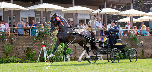 The Prenetics Royal International Horse Show
