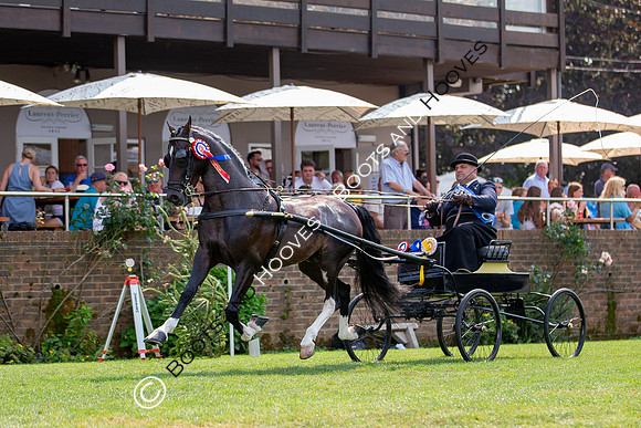 The Prenetics Royal International Horse Show