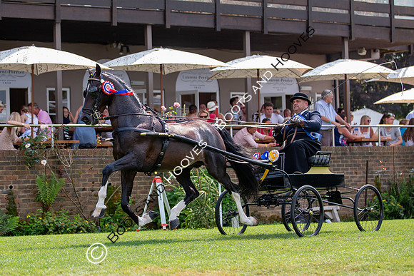 The Prenetics Royal International Horse Show
