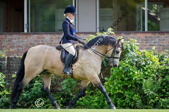 The Prenetics Royal International Horse Show