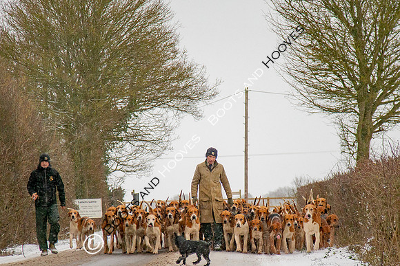 Hound Exercise