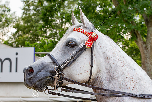 The Prenetics Royal International Horse Show