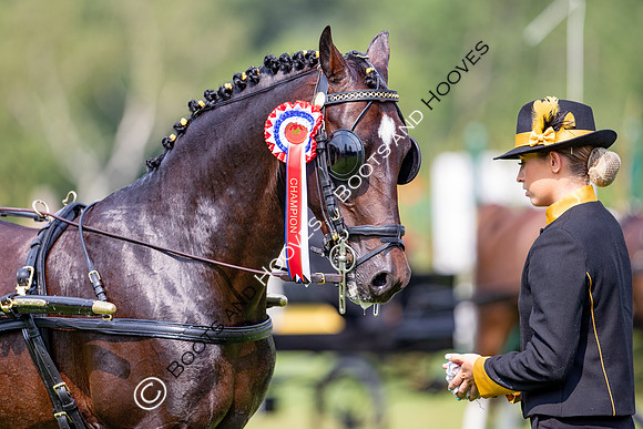 The Prenetics Royal International Horse Show