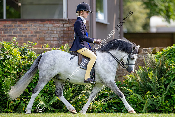 The Prenetics Royal International Horse Show