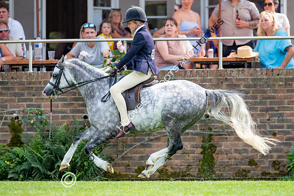 The Prenetics Royal International Horse Show