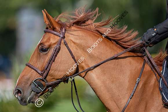 The Prenetics Royal International Horse Show