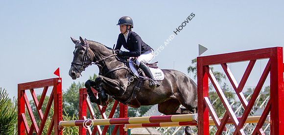 The Prenetics Royal International Horse Show