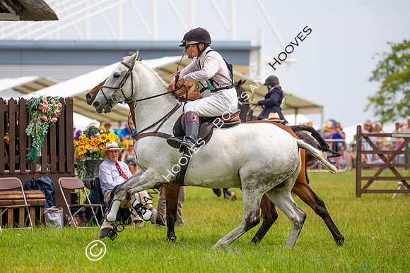 Festival of Hunting