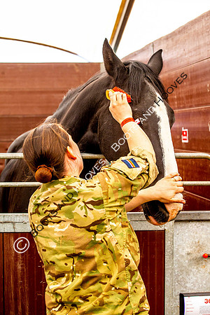 Day 2. Royal Windsor Horse Show. Windsor. Berkshire. UK.  10/05/2018. ~ MANDATORY Credit Elli Birch/Sportinpictures - NO UNAUTHORISED USE - 07837 394578