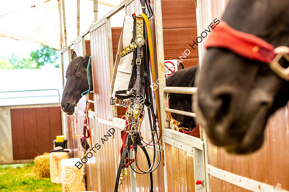Day 2. Royal Windsor Horse Show. Windsor. Berkshire. UK.  10/05/2018. ~ MANDATORY Credit Elli Birch/Sportinpictures - NO UNAUTHORISED USE - 07837 394578