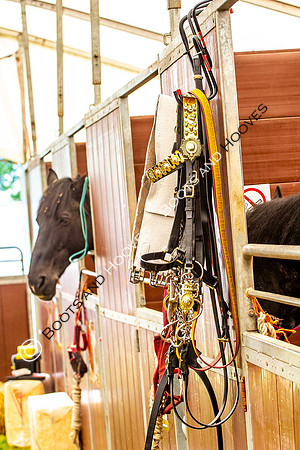 Day 2. Royal Windsor Horse Show. Windsor. Berkshire. UK.  10/05/2018. ~ MANDATORY Credit Elli Birch/Sportinpictures - NO UNAUTHORISED USE - 07837 394578