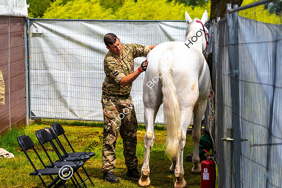 Day 2. Royal Windsor Horse Show. Windsor. Berkshire. UK.  10/05/2018. ~ MANDATORY Credit Elli Birch/Sportinpictures - NO UNAUTHORISED USE - 07837 394578