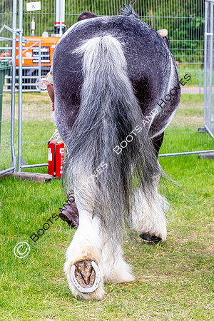 Day 2. Royal Windsor Horse Show. Windsor. Berkshire. UK.  10/05/2018. ~ MANDATORY Credit Elli Birch/Sportinpictures - NO UNAUTHORISED USE - 07837 394578