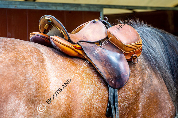 Day 2. Royal Windsor Horse Show. Windsor. Berkshire. UK.  10/05/2018. ~ MANDATORY Credit Elli Birch/Sportinpictures - NO UNAUTHORISED USE - 07837 394578