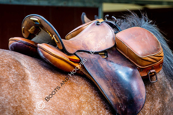 Day 2. Royal Windsor Horse Show. Windsor. Berkshire. UK.  10/05/2018. ~ MANDATORY Credit Elli Birch/Sportinpictures - NO UNAUTHORISED USE - 07837 394578
