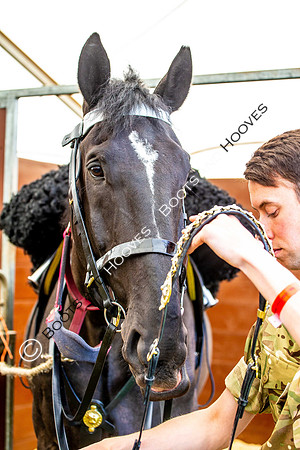 Day 2. Royal Windsor Horse Show. Windsor. Berkshire. UK.  10/05/2018. ~ MANDATORY Credit Elli Birch/Sportinpictures - NO UNAUTHORISED USE - 07837 394578