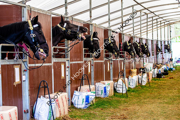 Day 2. Royal Windsor Horse Show. Windsor. Berkshire. UK.  10/05/2018. ~ MANDATORY Credit Elli Birch/Sportinpictures - NO UNAUTHORISED USE - 07837 394578
