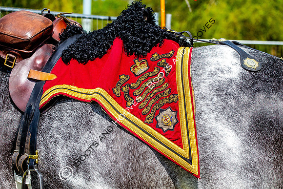 Day 2. Royal Windsor Horse Show. Windsor. Berkshire. UK.  10/05/2018. ~ MANDATORY Credit Elli Birch/Sportinpictures - NO UNAUTHORISED USE - 07837 394578