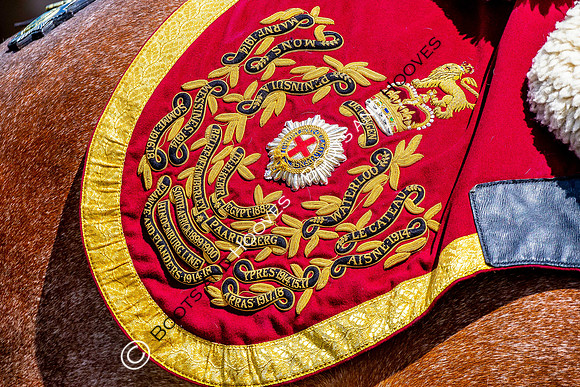 Day 2. Royal Windsor Horse Show. Windsor. Berkshire. UK.  10/05/2018. ~ MANDATORY Credit Elli Birch/Sportinpictures - NO UNAUTHORISED USE - 07837 394578