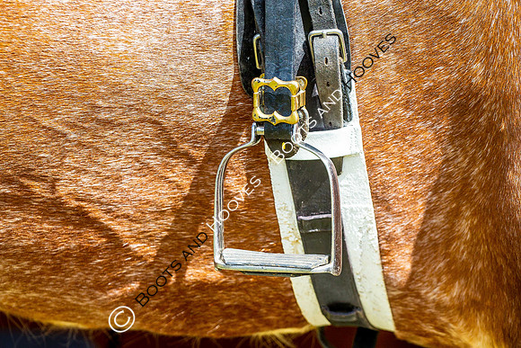 Day 2. Royal Windsor Horse Show. Windsor. Berkshire. UK.  10/05/2018. ~ MANDATORY Credit Elli Birch/Sportinpictures - NO UNAUTHORISED USE - 07837 394578