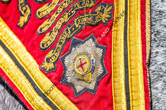 Day 2. Royal Windsor Horse Show. Windsor. Berkshire. UK.  10/05/2018. ~ MANDATORY Credit Elli Birch/Sportinpictures - NO UNAUTHORISED USE - 07837 394578