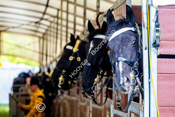 Day 2. Royal Windsor Horse Show. Windsor. Berkshire. UK.  10/05/2018. ~ MANDATORY Credit Elli Birch/Sportinpictures - NO UNAUTHORISED USE - 07837 394578