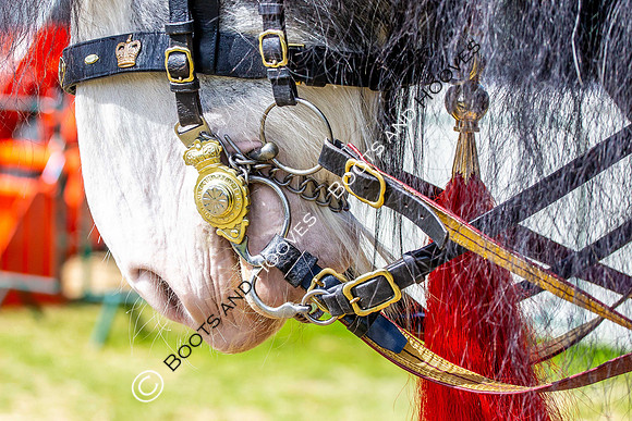 Day 2. Royal Windsor Horse Show. Windsor. Berkshire. UK.  10/05/2018. ~ MANDATORY Credit Elli Birch/Sportinpictures - NO UNAUTHORISED USE - 07837 394578