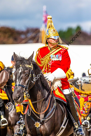 Day 2. Royal Windsor Horse Show. Windsor. Berkshire. UK.  10/05/2018. ~ MANDATORY Credit Elli Birch/Sportinpictures - NO UNAUTHORISED USE - 07837 394578