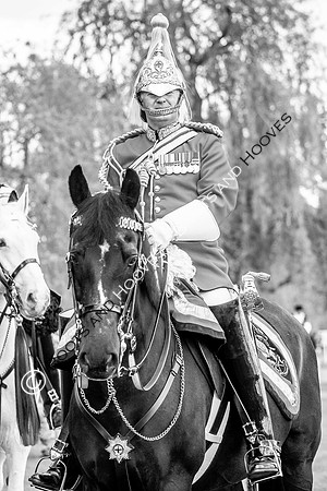 Day 2. Royal Windsor Horse Show. Windsor. Berkshire. UK.  10/05/2018. ~ MANDATORY Credit Elli Birch/Sportinpictures - NO UNAUTHORISED USE - 07837 394578
