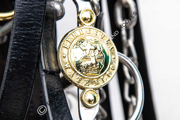 Day 2. Royal Windsor Horse Show. Windsor. Berkshire. UK.  10/05/2018. ~ MANDATORY Credit Elli Birch/Sportinpictures - NO UNAUTHORISED USE - 07837 394578