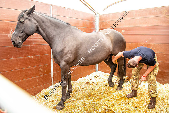 Day 2. Royal Windsor Horse Show. Windsor. Berkshire. UK.  10/05/2018. ~ MANDATORY Credit Elli Birch/Sportinpictures - NO UNAUTHORISED USE - 07837 394578